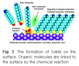 Text Box:  

Fig. 2. The formation of SAMs on the surface. Organic molecules are linked to the surface by the chemical reaction.









