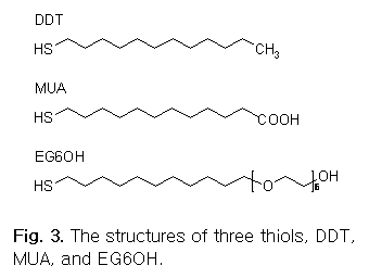Text Box:  

Fig. 3. The structures of three thiols, DDT, MUA, and EG6OH.
